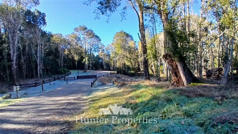 Parcela con laguna y bosque nativo en venta en Puerto Varas