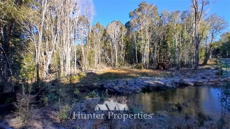 Parcela con laguna y bosque nativo en venta en Puerto Varas