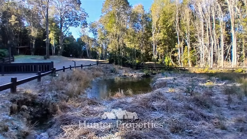 Parcela con laguna y bosque nativo en venta en Puerto Varas