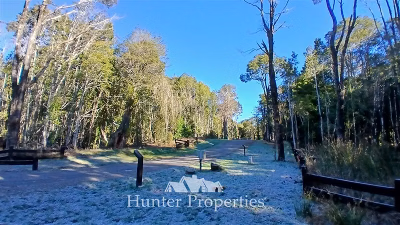 Parcela con laguna y bosque nativo en venta en Puerto Varas