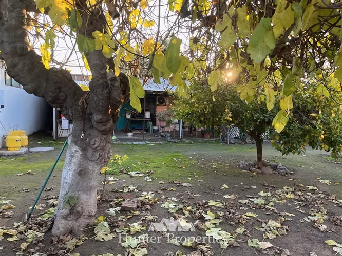 Casa antigua muy bien ubicada en venta de 582 M2. en Talca - Imagen 11