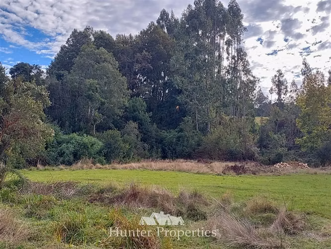 Parcela vista a la cordillera, cerca del Lago Ranco con agua