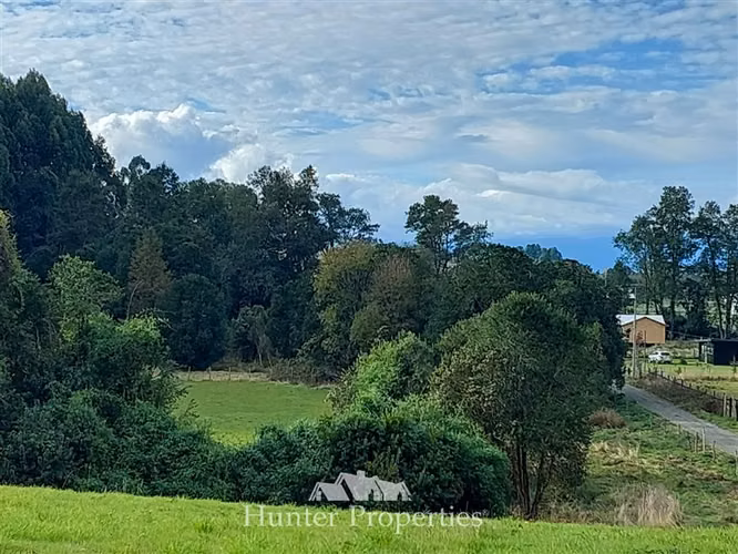 Parcela vista a la cordillera, cerca del Lago Ranco con agua