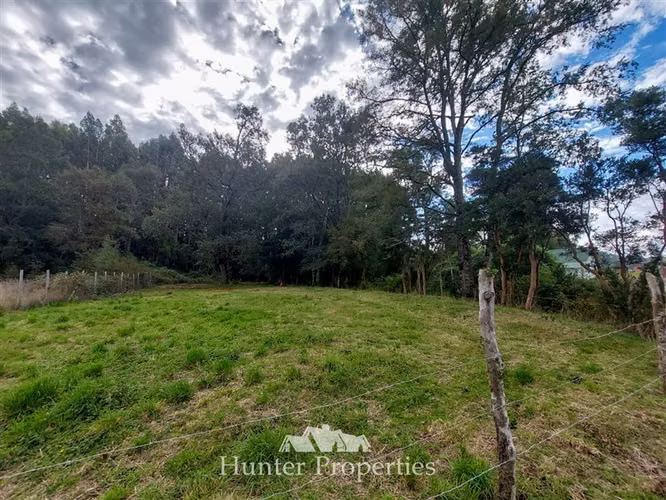 Parcela vista a la cordillera, cerca del Lago Ranco con agua
