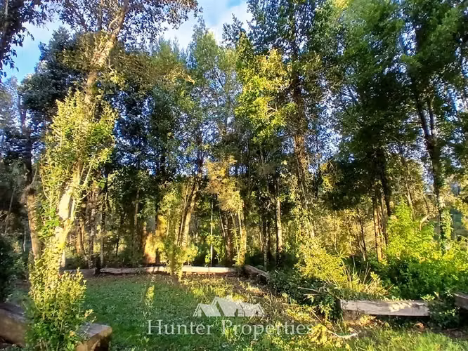 Parcela con bosque nativo en venta en Puerto Varas