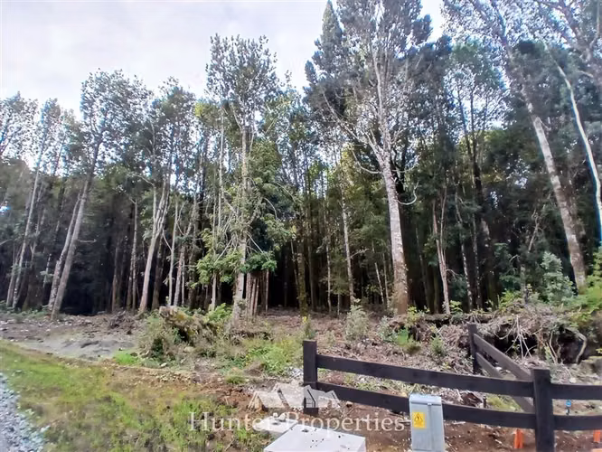 Parcela con bosque nativo en venta en Puerto Varas