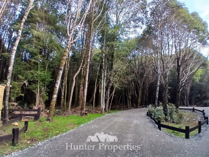 Parcela con bosque nativo en venta en Puerto Varas