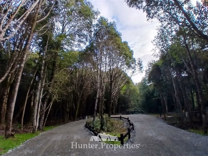 Parcela con bosque nativo en venta en Puerto Varas