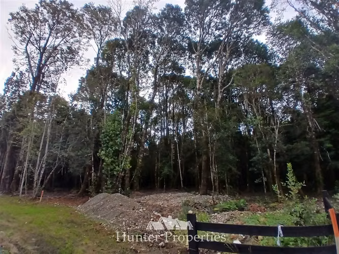 Parcela con bosque nativo en venta en Puerto Varas