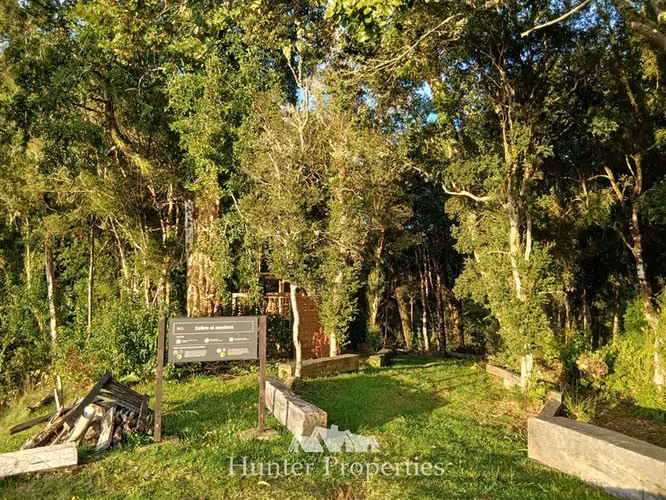 Parcela con bosque nativo en venta en Puerto Varas