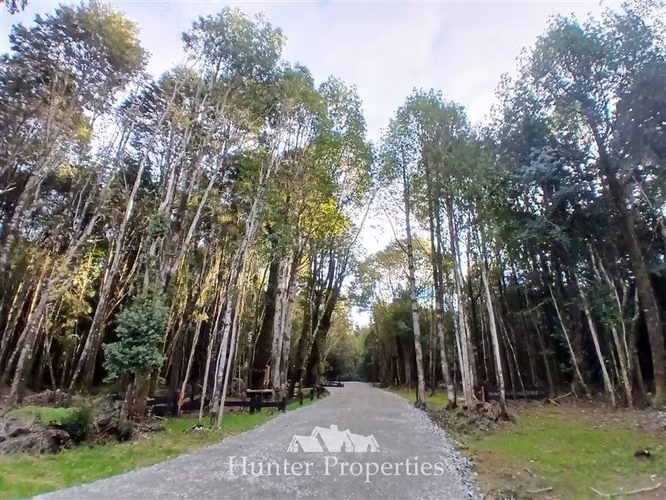 Parcela con bosque nativo en venta en Puerto Varas