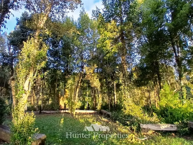 Parcela con bosque nativo en venta en Puerto Varas