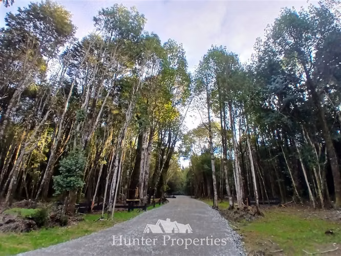 Parcela con riachuelo en venta en Puerto Varas