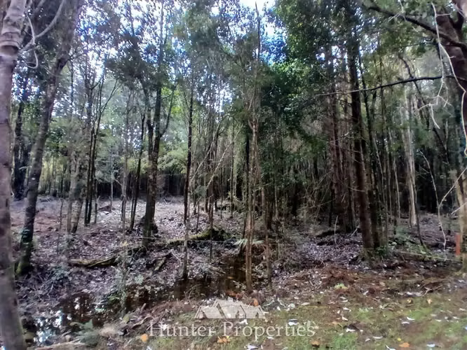 Parcela con riachuelo en venta en Puerto Varas