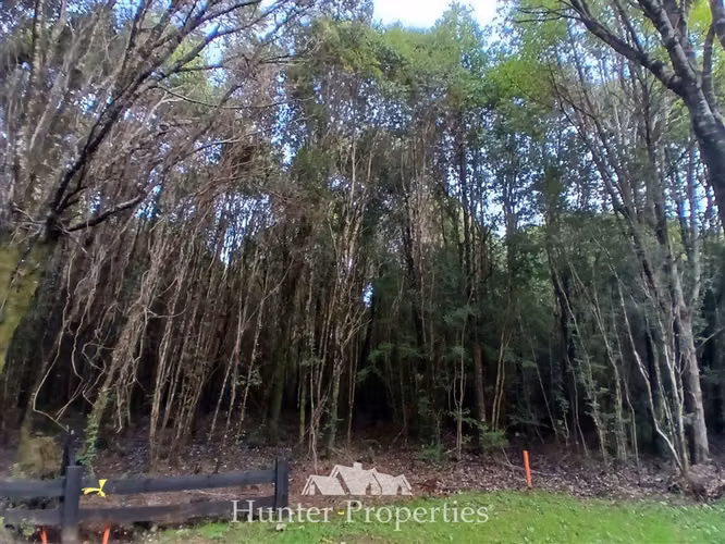 Parcela con riachuelo en venta en Puerto Varas