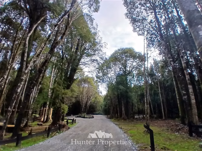Parcela con bosque en venta en Puerto Varas