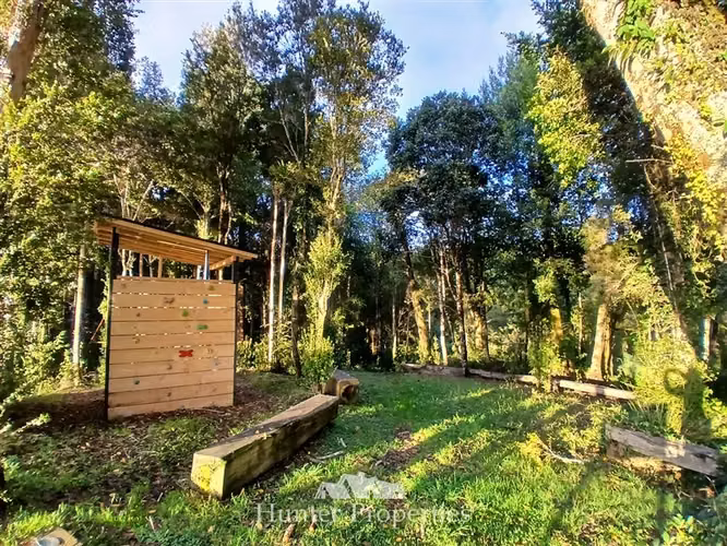 Parcela con bosque en venta en Puerto Varas