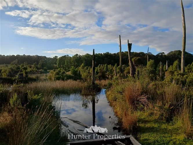 Parcela con bosque en venta en Puerto Varas