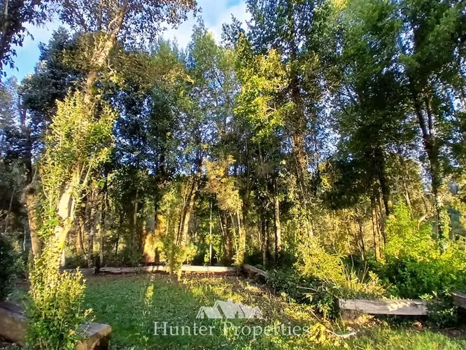 Parcela venta con bosque camino Las Tranqueras Puerto Varas