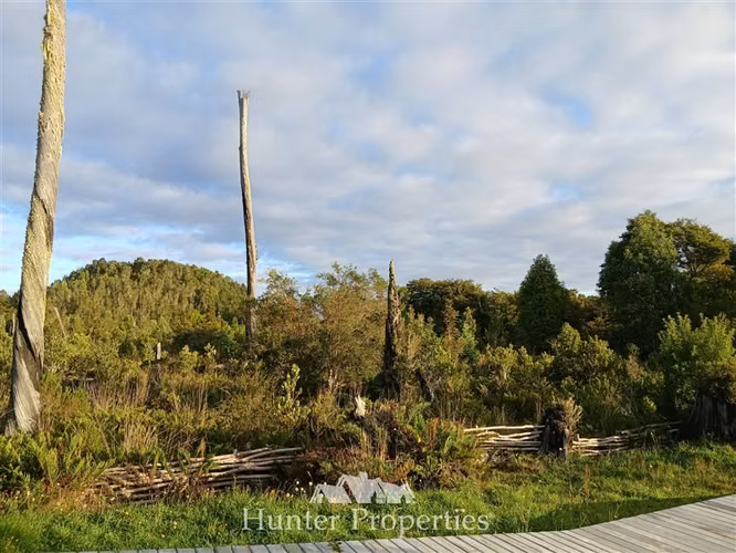 Parcela venta con bosque camino Las Tranqueras Puerto Varas