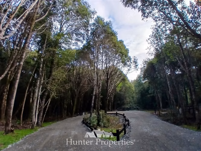 Parcela venta con bosque camino Las Tranqueras Puerto Varas