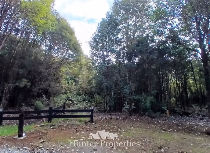 Parcela venta con bosque camino Las Tranqueras Puerto Varas