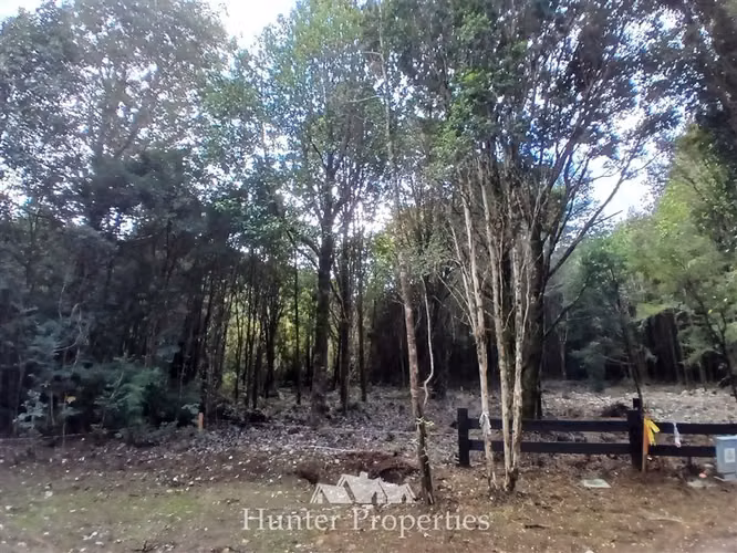 Parcela venta con bosque camino Las Tranqueras Puerto Varas