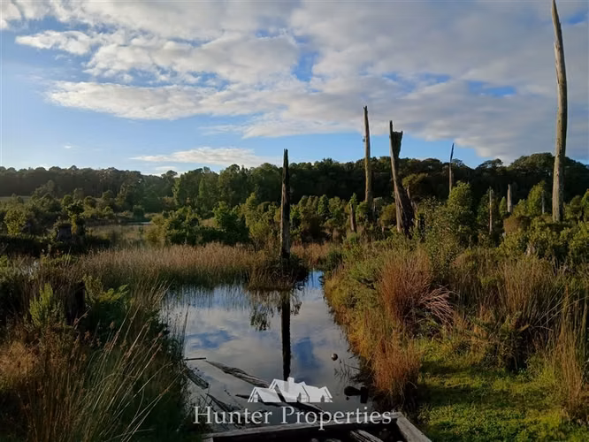 Parcela venta con bosque camino Las Tranqueras Puerto Varas