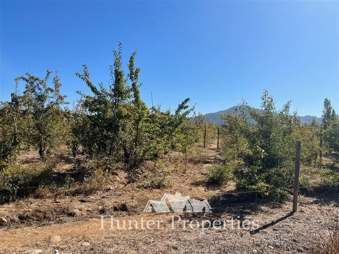 Parcela en condominio de 5.000 M2 de sup, en venta en Colbún