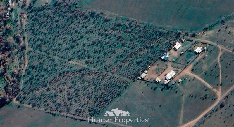Agrícola en arriendo en Colina