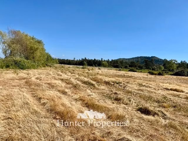 Parcela de 5.000M, con rol propio, en venta en San Clemente.