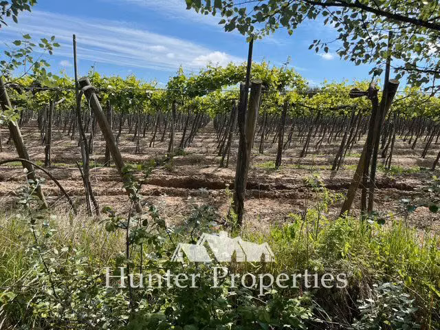 Sitio en venta en Linares