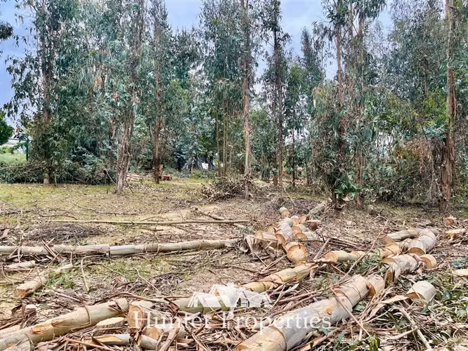 Terreno apto uso Comercial, venta, San Rafael, ruta 5 sur