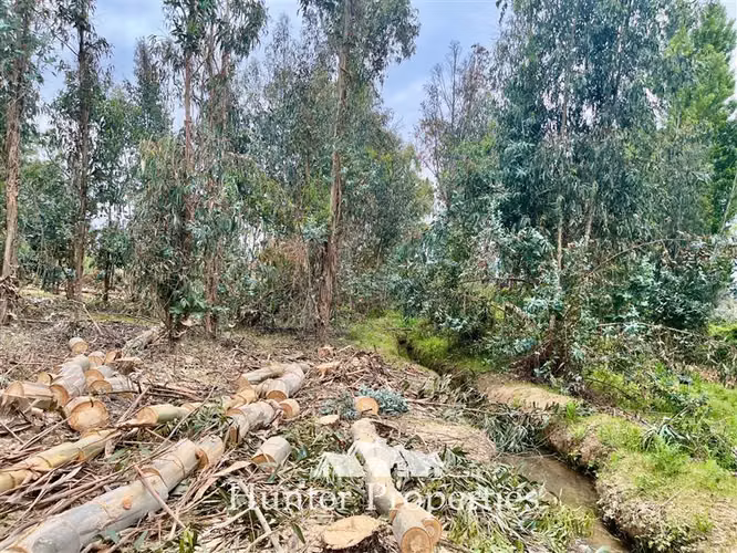 Terreno apto uso Comercial, venta, San Rafael, ruta 5 sur