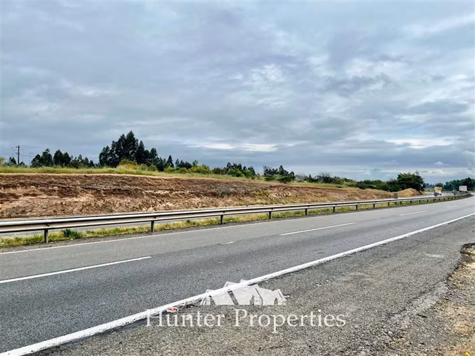 Parcela vta. 20.000 M2 a orillas de ruta 5 Sur - San Rafael
