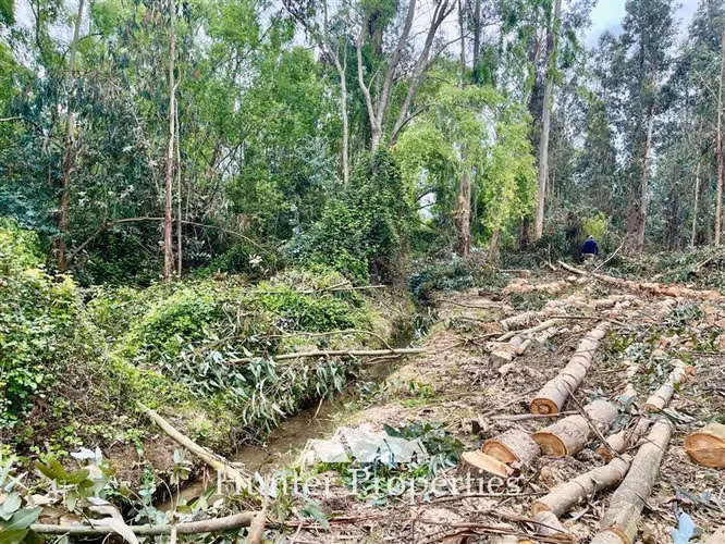 Parcela vta. 20.000 M2 a orillas de ruta 5 Sur - San Rafael