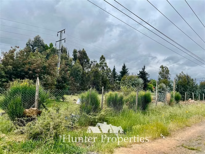 Parcela vta. 20.000 M2 a orillas de ruta 5 Sur - San Rafael