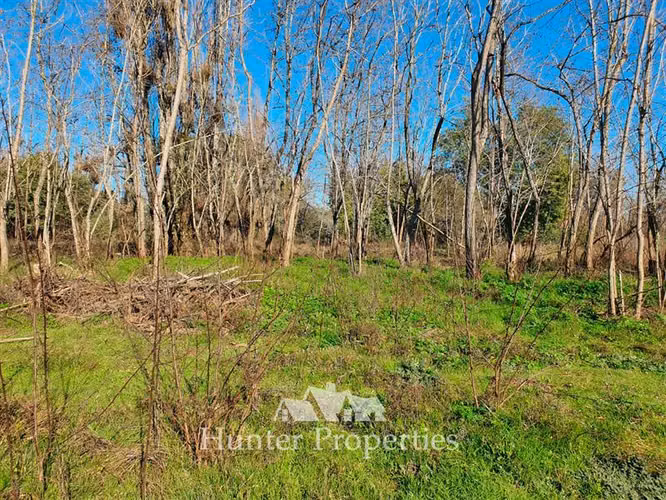 3 Parcelas en oferta en venta en Parral, sector Cato.