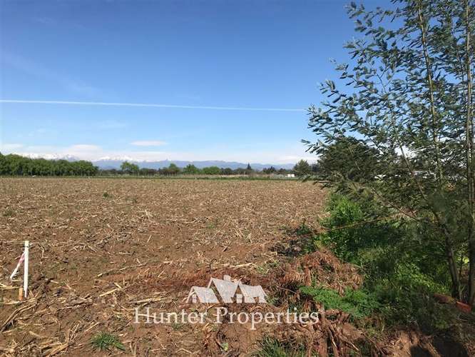 Parcela en venta 5.000 M2, zona mariposas, quebrada de agua. - Imagen 13