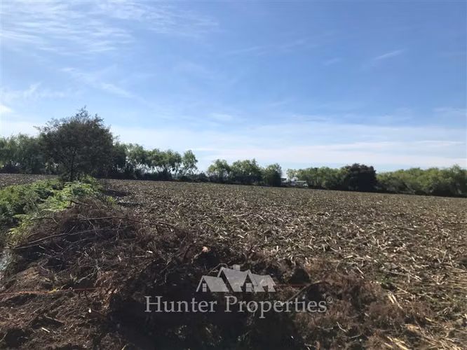 Parcela en venta 5.000 M2, zona mariposas, quebrada de agua.