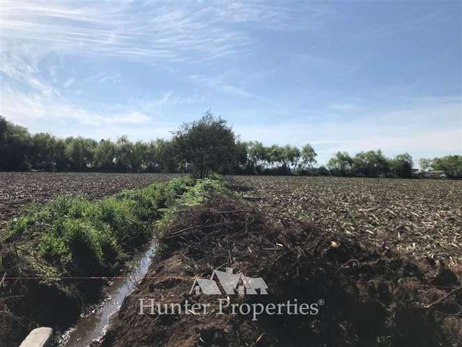 Parcela en venta 5.000 M2, zona mariposas, quebrada de agua. - Imagen 12