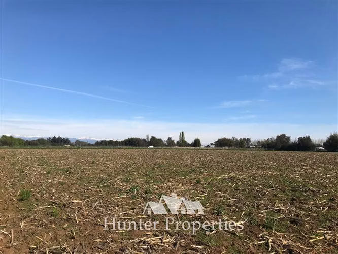 Parcela en venta 5.000 M2, zona mariposas, quebrada de agua.