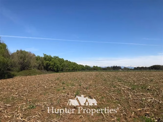 Parcela en venta 5.000 M2, zona mariposas, quebrada de agua.
