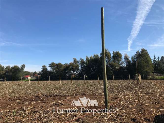 Parcela en venta 5.000 M2, zona mariposas, quebrada de agua. - Imagen 15
