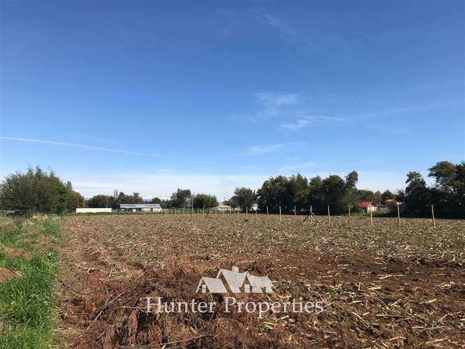 Parcela en venta 5.000 M2, zona mariposas, quebrada de agua. - Imagen 14