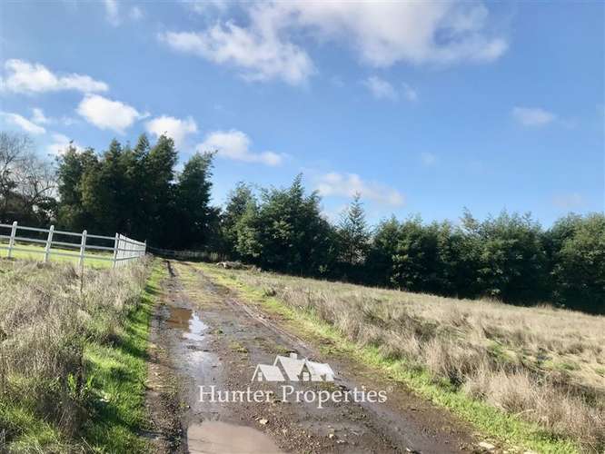 Hermoso Loteo de Parcelas - venta de 5.000 M2, Aurora -Talca - Imagen 9