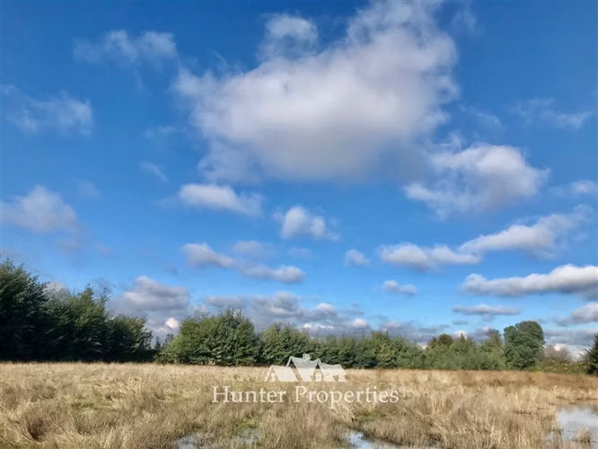 Hermoso Loteo de Parcelas - venta de 5.000 M2, Aurora -Talca
