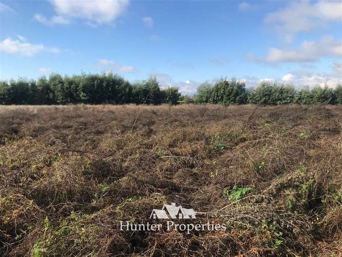 Hermoso Loteo de Parcelas - venta de 5.000 M2, Aurora -Talca - Imagen 10