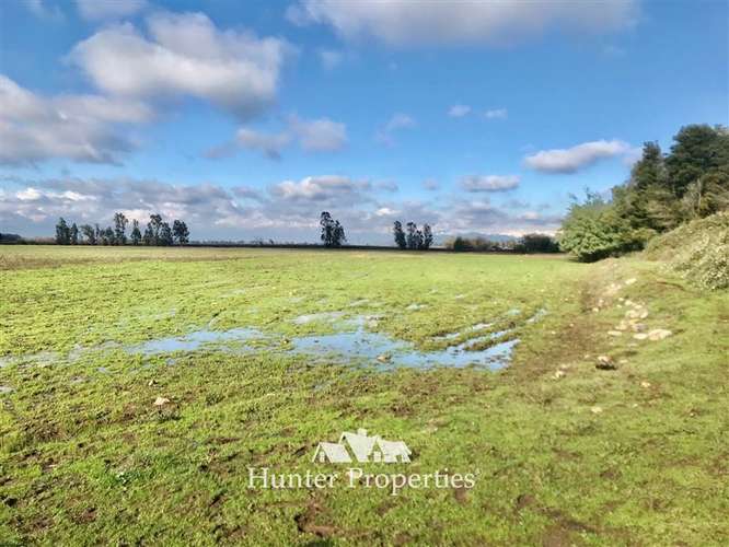 Hermoso Loteo de Parcelas - venta de 5.000 M2, Aurora -Talca - Imagen 11