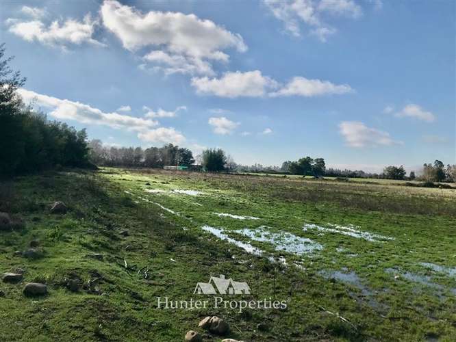 Hermoso Loteo de Parcelas - venta de 5.000 M2, Aurora -Talca - Imagen 14